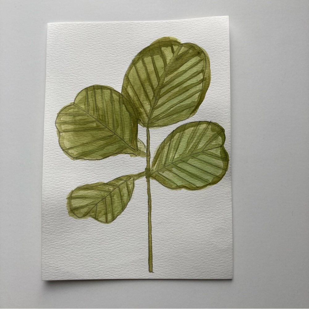 Botanical Watercolor Painting